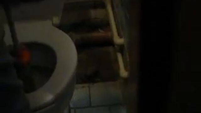 Отзыв: ВЗ ПРО Профессиональный Вантуз высокого давления Домочист смотреть онлайн