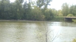 Река Быстрица село Вожгалы