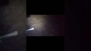 Пятница 13 судная ночь.Ночьной переполох.Страшилка.