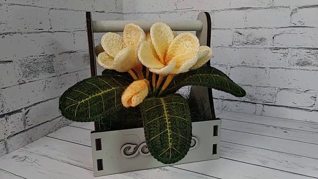 Плюмерия / крючком / платный мк смотреть онлайн