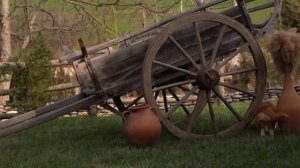 Приготовление жгучей крапивы Азербайджанская Кухня Деревенская Кухня  Рецепты