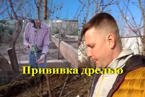 Прививка дрелью