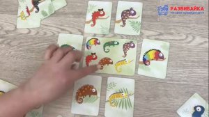Настольная игра «Хамелеон»