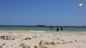 WATAMU MARINE PARK SWIMMING EXPERIENCE