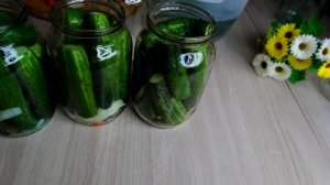 ОГУРЦЫ НА ЗИМУ ВКУСНЫЕ хрустящие ПРОСТОЙ рецепт ОГУРЦОВ на зиму