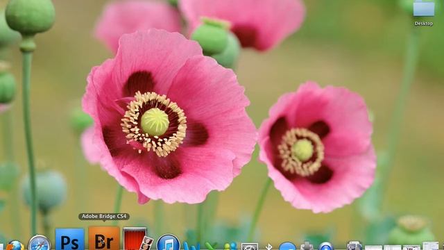 How to Open Adobe Photoshop CS4 on a MacBook Pro смотреть онлайн