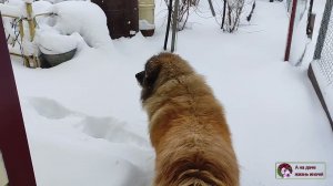 25 апреля 2022г Ночь МЕТЕЛЬНАЯ ту стежку замела.