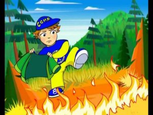 Безопасность - это важно! Пожар в лесу.