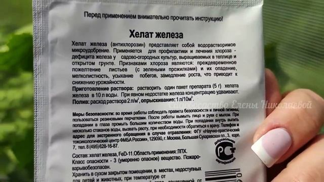 СРОЧНО дайте это В АВГУСТЕ ОГУРЦАМ и они снова обильно заплодоносят! смотреть онлайн