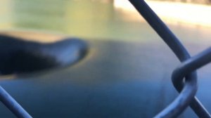 Плотина Монтичелло в штате Калифорния