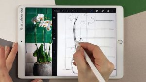 Рисуем на Ipad в Procreate \ Орхидея \ Часть 1 \ Набросок