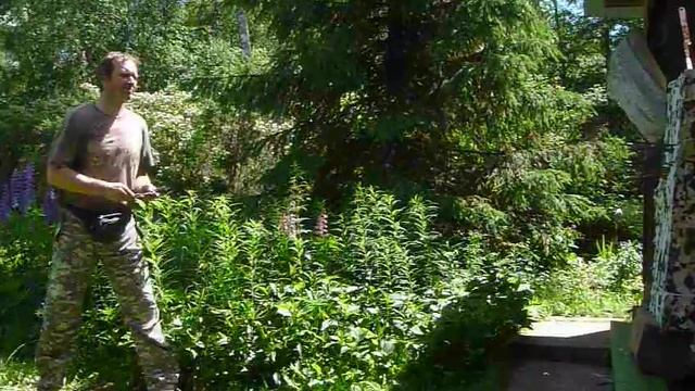 метание гвоздей 200 мм.безоборота смотреть онлайн