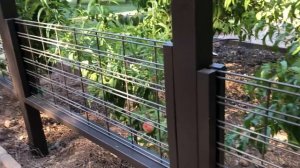 Design and Build a Garden Arbor and Fence for Grapevines