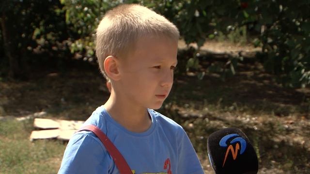 Апгрейд Разумного: детские площадки