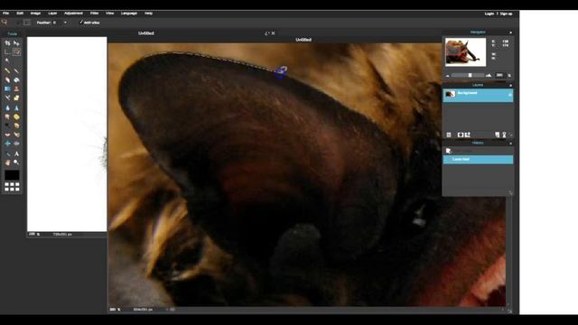 Lasso Tool/Cut and Paste смотреть онлайн
