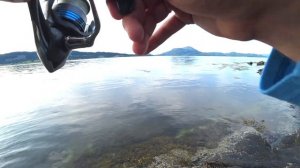 Как ловить СКУМБРИЮ в Норвегии с берега?! Ловля скумбрии от А до Я