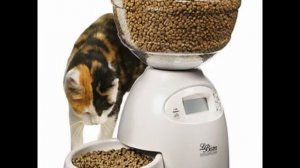 автокормушка своими руками