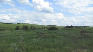 Опустевший посёлок Мокрый, Лысогорский район