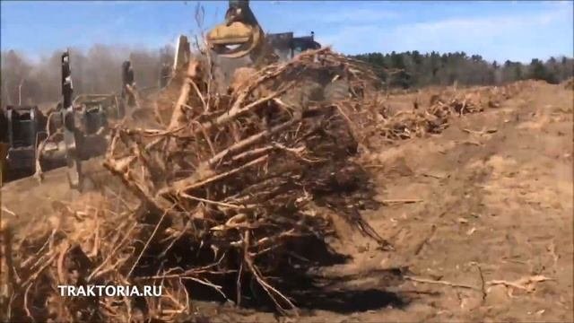 Скоростное корчевание пней в промышленных масштабах. Трансформация расчистки.