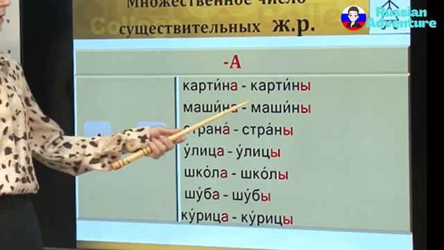 跟著俄羅斯老師學俄文4｜俄語複數名詞進階說明｜Learn Russian with a Russian teacher 4｜Россия-Russia