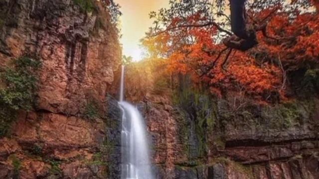 Звуки пения птиц, природы 2 часа релаксации смотреть онлайн