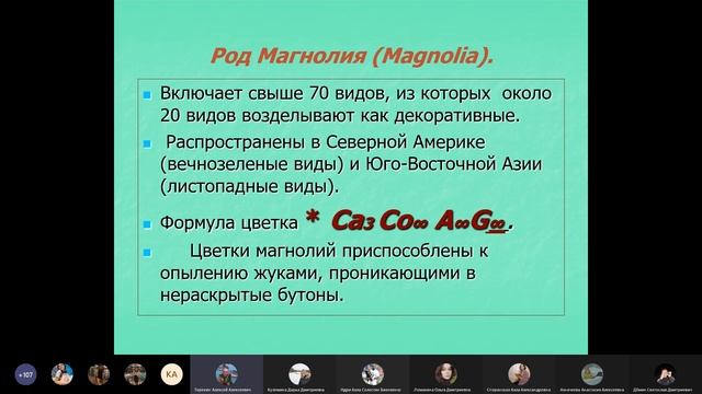 Отделы Покрытосеменных | Ботаника смотреть онлайн