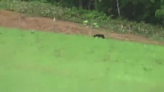 Roy, 09 June Hokkaido part1 смотреть онлайн