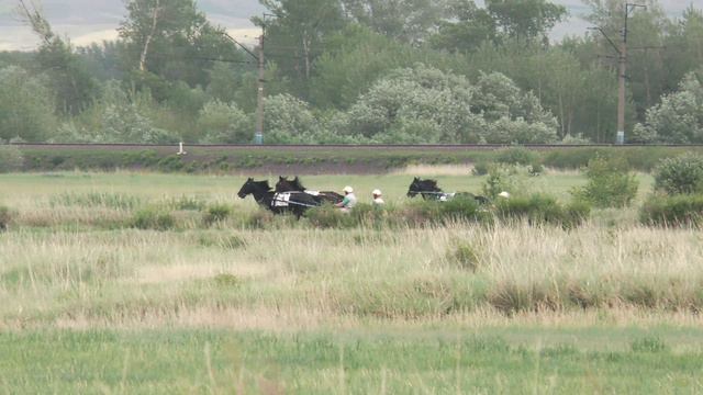 25.06.2022г.Аскиз Тун Пайрам Орловцы и Рысаки  1600м