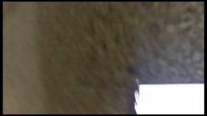 кричу "лето ура" 00:00 1 июня 2023года