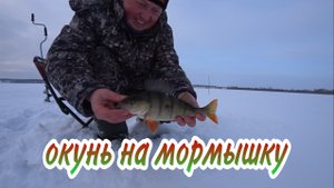 ЗАБЫЛ МОТЫЛЯ И ОПАРЫША ЛОВИЛ НА ГОЛУЮ МОРМЫШКУ! И ВОТ ОНА РЫБКА! РЫБАЛКА НА ЖЕРЛИЦЫ! ЗИМНЯЯ РЫБАЛКА!