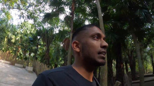 Bali Zoo Vs Bali Safari смотреть онлайн