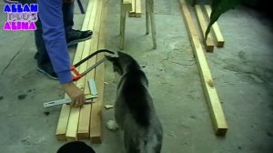 Будка для сибирской хаски / Dog house Husky 1-я часть