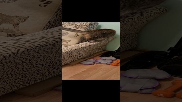 Лизин блог