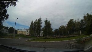 Армия трясогузки снова в бою