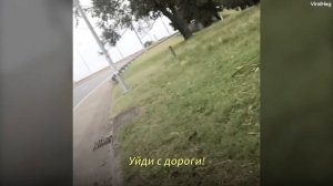 Гигантский Паук Забрался в Машину. Ничего Себе Поездочка!