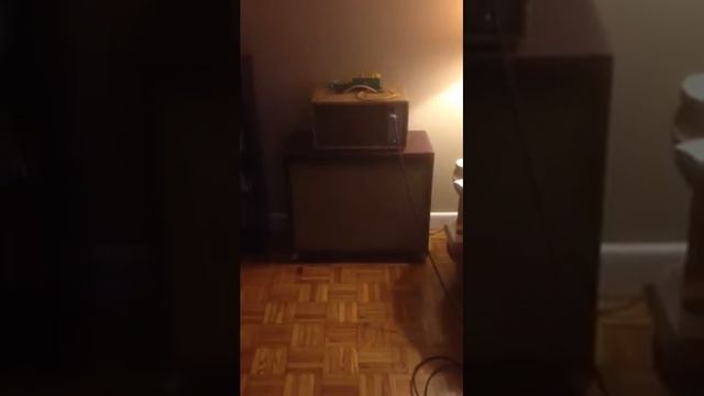 Rose Moonlighters humbucking pickups смотреть онлайн