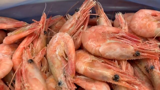 Северная креветка «Беломорский рыбак» смотреть онлайн