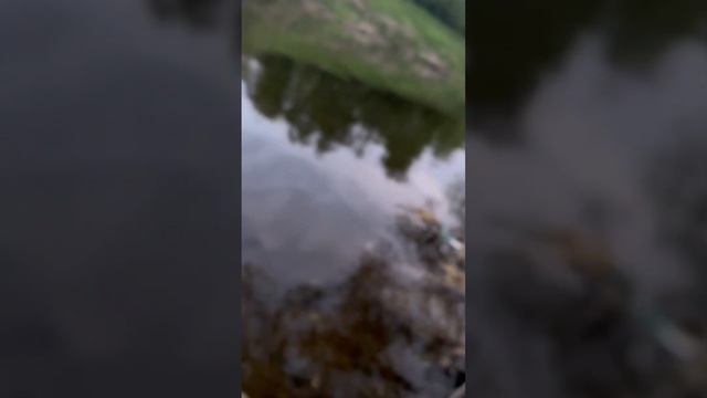 Спонтанная рыбалка на реке Пахра,хороший бонус. #РекаПахра#Московская область#Изготовлениеснастей смотреть онлайн