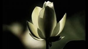 Maneesh de Moor - Moola Meditation