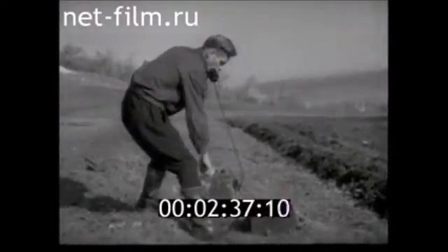 1950г. Строительство Жигулевской ГЭС на Волге (Куйбышевская, Волжская имени В.И. Ленина) смотреть онлайн