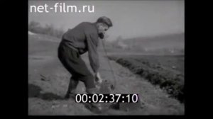 1950г. Строительство Жигулевской ГЭС на Волге (Куйбышевская, Волжская имени В.И. Ленина)