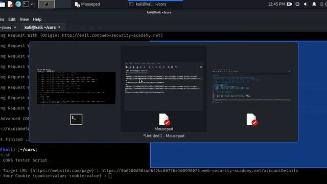 CORS_Testing_Script | Simple Script To Test CORS Misconfiguration Vulnerability смотреть онлайн