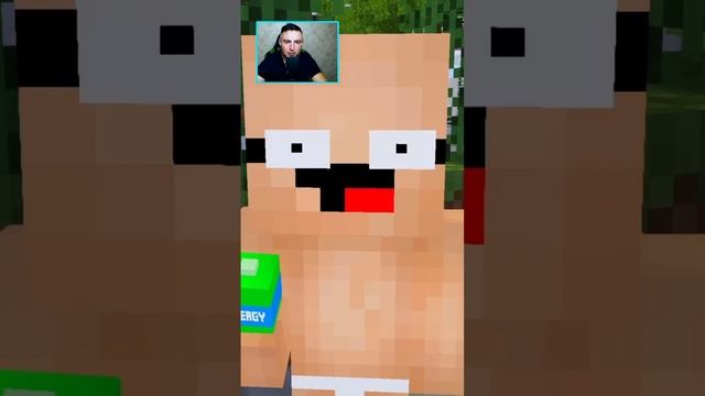 Mr GAG - MINECRAFT