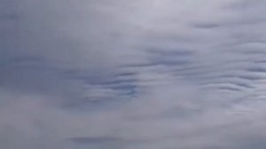 За времена пандемии трубные звуки в небе приобрели новую тональность