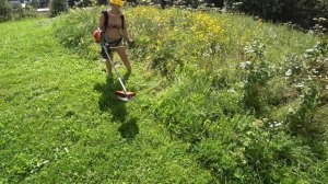 БЕНЗОКОСА ECHO-330ES.ЧТО РАСТЕТ В ТЕПЛИЦАХ. СОБИРАЕМ УРОЖАЙ. АЛЧА. ЭКЗОТИЧЕСКАЯ ФИОЛЕТОВАЯ КАРТОШКА