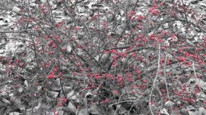 Прот. Игорь Рябко. Размышления над книгой "Симуляция жизни или реквием по мечте"