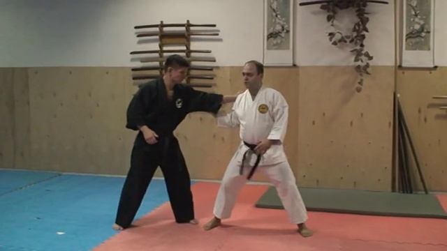 Каратэ шотокан - Переход с ударов на броски смотреть онлайн
