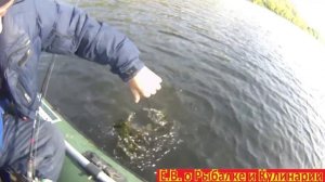 Ловим щуку в октябре с лодки на спиннинг.Ловим щуку на воблеры на затонах от Волги.Ловим щуку осень