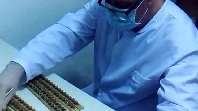 Маточное молочко нативное живое замороженное. Как добывается и сохраняется.