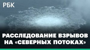Германия начала расследование взрывов на «Северных потоках». «Газпром» напомнил о дроне НАТО